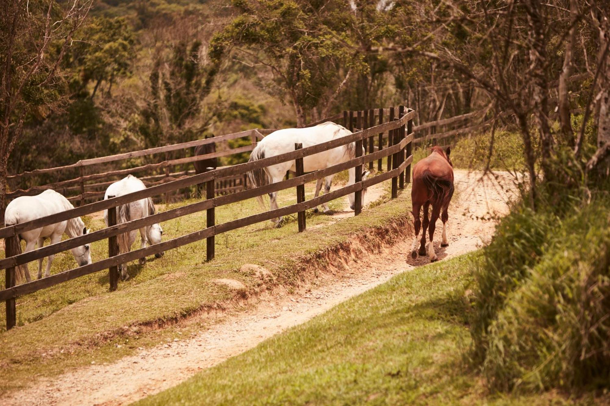 Hotel Fazenda Morros Verdes Ecolodge Ibiúna Εξωτερικό φωτογραφία