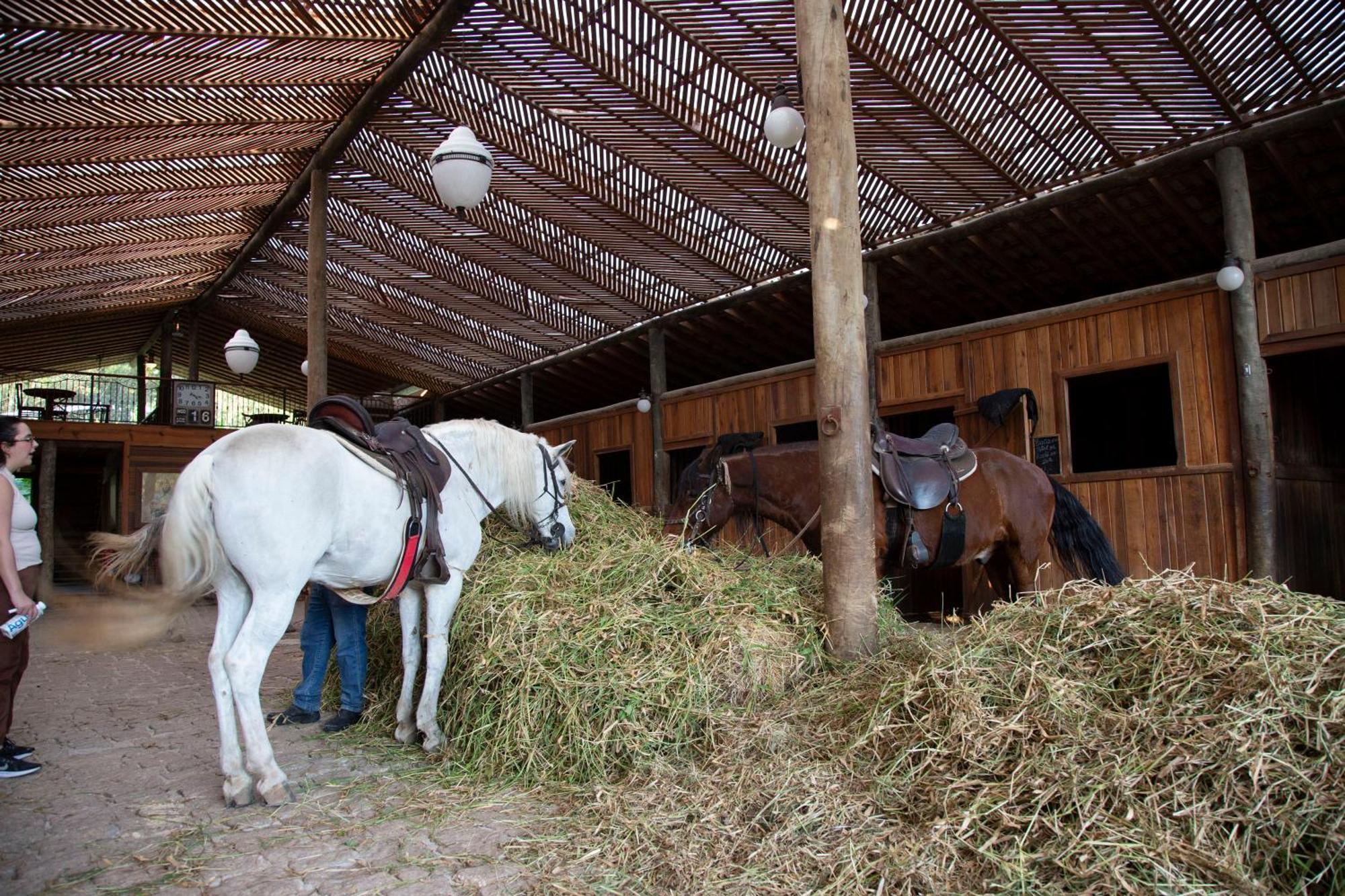 Hotel Fazenda Morros Verdes Ecolodge Ibiúna Εξωτερικό φωτογραφία