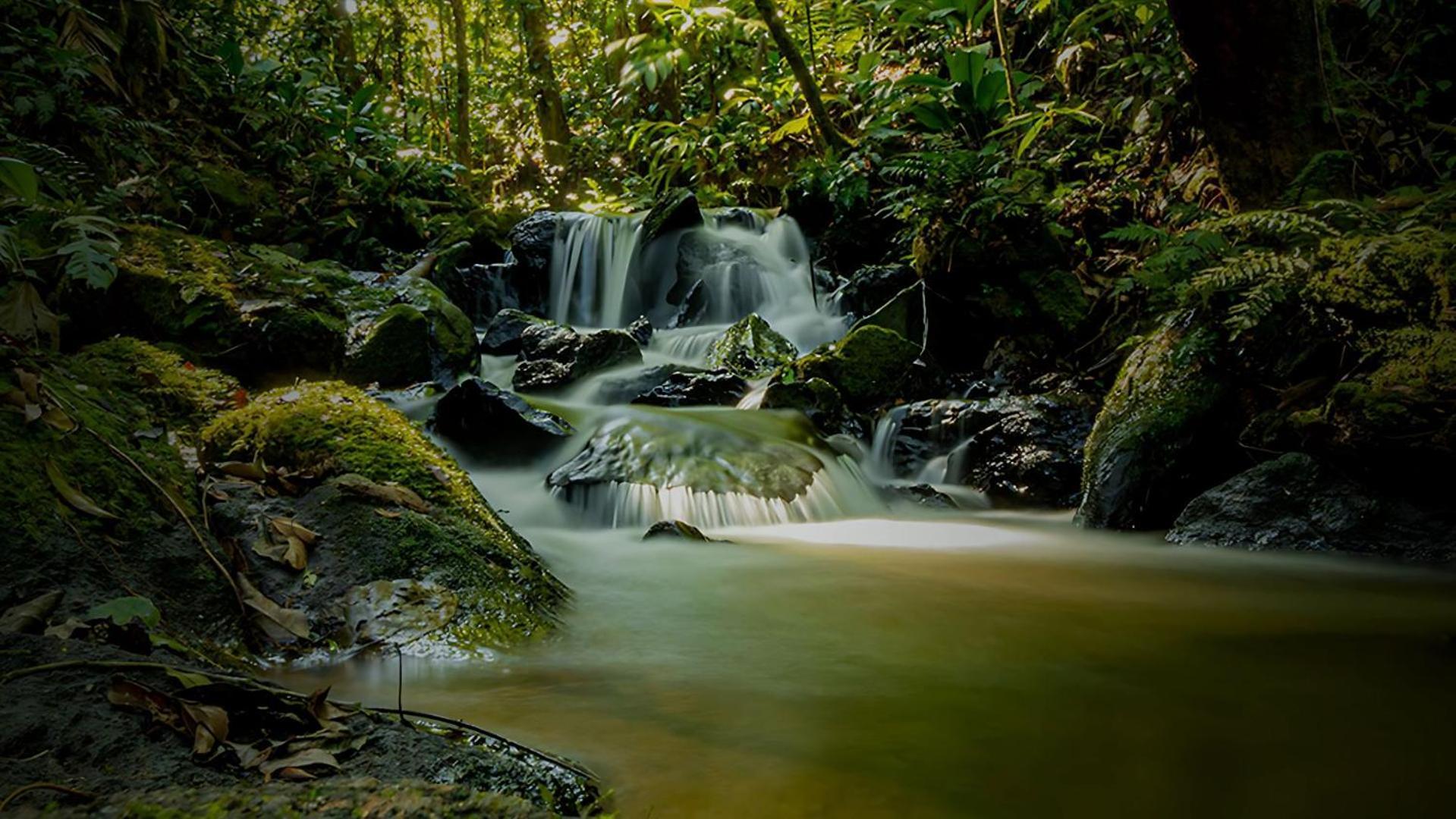 Hotel Fazenda Morros Verdes Ecolodge Ibiúna Εξωτερικό φωτογραφία
